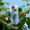 WINONA IRENE - Forest Berry Claw