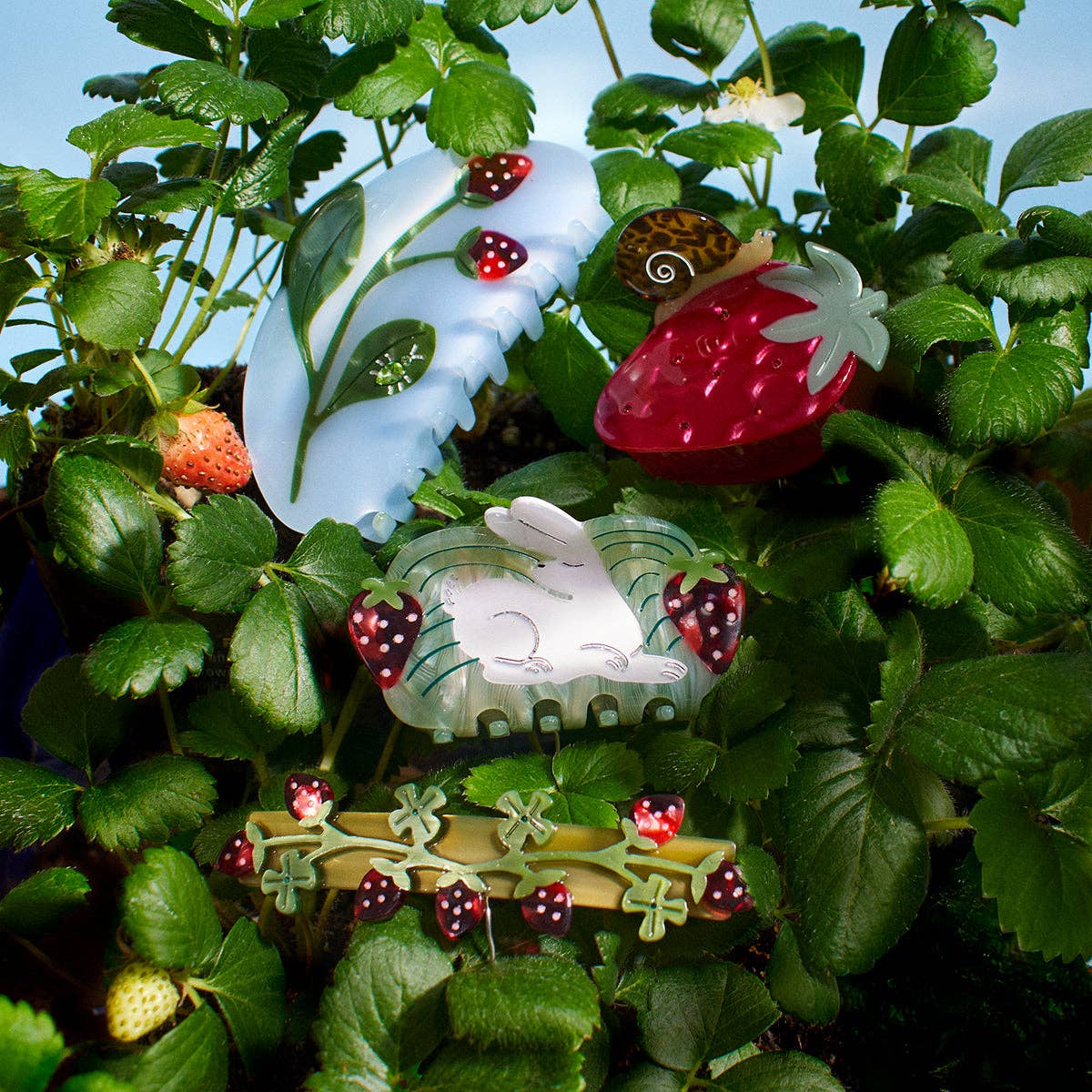 WINONA IRENE - Forest Berry Claw